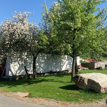 Ferienwohnung Waldkoehlerei Michelbach 外观 照片