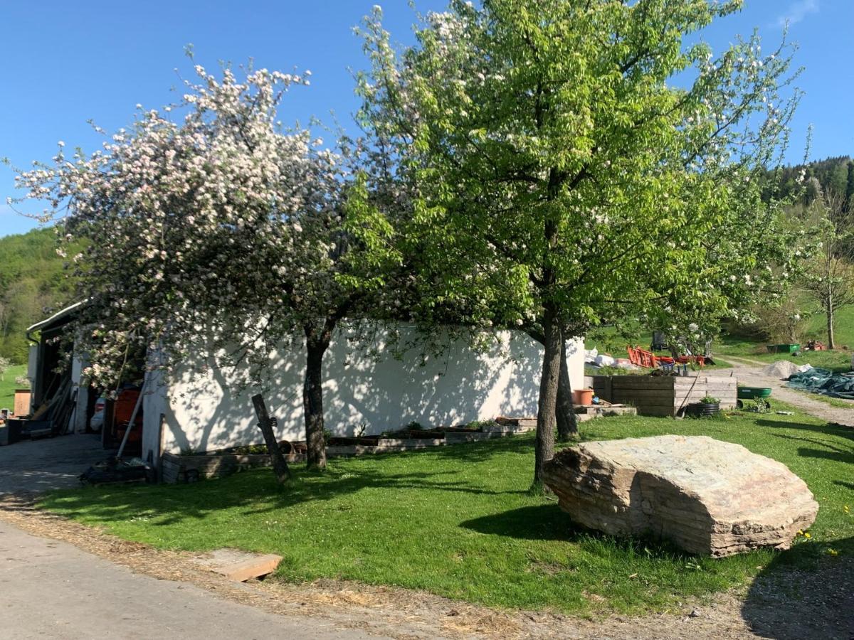 Ferienwohnung Waldkoehlerei Michelbach 外观 照片